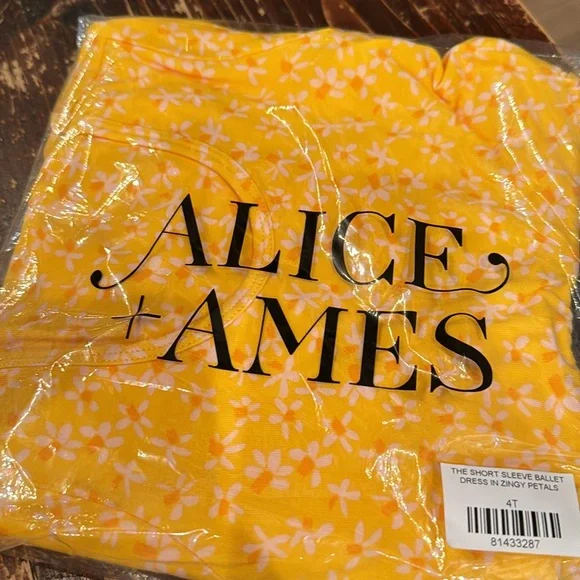 NEW Alice and Ames Ballet Dress Zingy Petals Size 4 6 Yellow